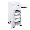 Hair Salon Storage Cart with Wheels & 3 Hair Dryer Holders & 4 Drawers & Lock & 2 Keys, Hairdressing Tools Station Mobile Makeup Case White